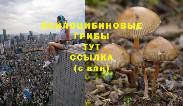 амфетамин Арсеньев