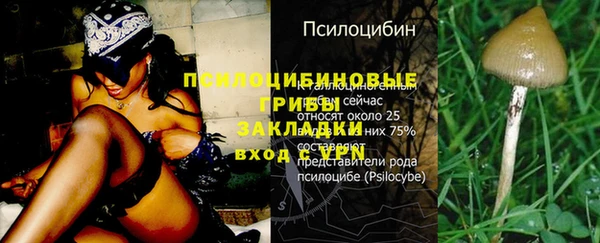эйфоретик Алзамай