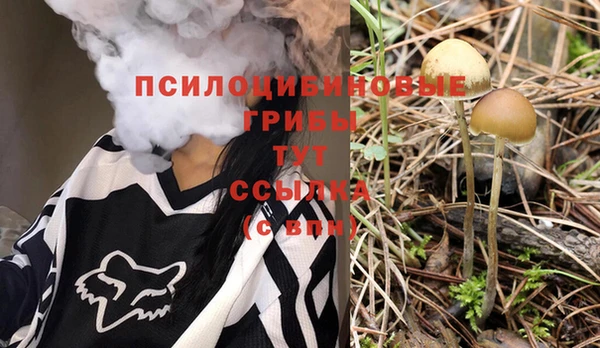 метамфетамин Аркадак